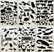 Animal - big vector collection