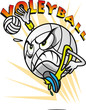 bola deportiva 7