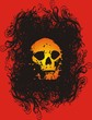 Skull design