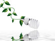 ampoule écologique