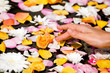 Woman's hand touching flower petals in water