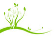 Composition florale