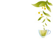 tasse d' infusion de plantes fond  blanc