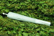 joint hanf liegend