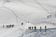 Cordées d'alpinistes vers le Mont Blanc