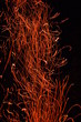 Étincelles du feu de foyer dans le noir Étincelles du feu de foyer dans le noir