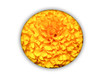 jaune