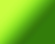 Tige verte