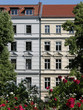 Wohnidylle in Berlin-Prenzlauer Berg