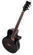 Acoustic Guitar