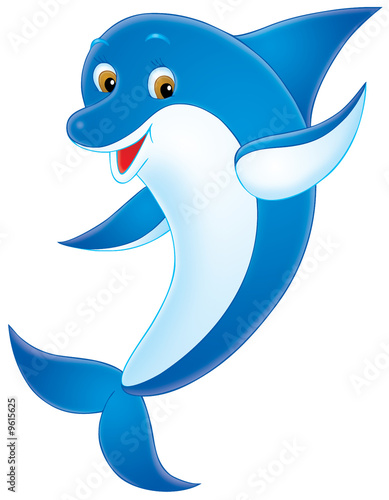 Dolphin