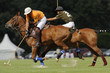 Image : OpenFrancePolo2008_200