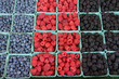 Fresh, organically grown berries