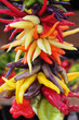 colorful hanging chili pepper assortment colorful hanging chili pepper assortment