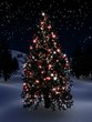 weihnachtsbaum