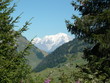 Vue sur le Mont Blanc