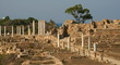 Site de Salamis - Chypre Site de Salamis - Chypre