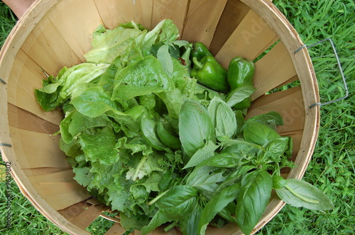 Photo: Bushel of vegetables Bushel of vegetables
