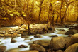 Images : Autumn forest with mountain river