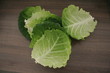 Feuille de Chou Feuille de Chou