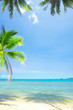 tropic scene tropic scene
