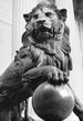 Photo en ligne au meilleur prix Lion king - bronze statue of a lion