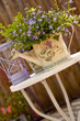 Flowers in garden Flowers in garden