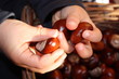 Braune Kastanien in Kinderhand