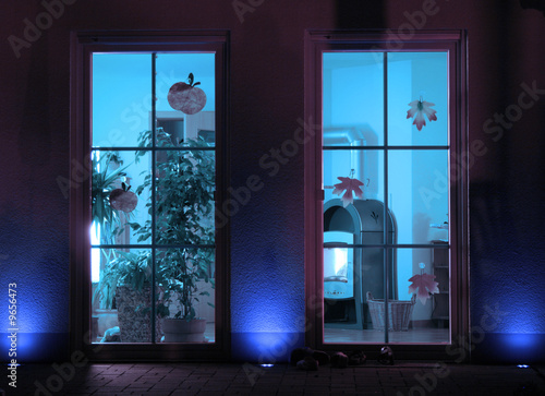 Terrace Doors