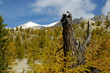 automne en montagne 15
