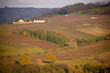 Vignoble