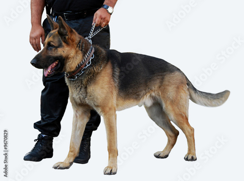 Chien de Garde détouré Chien de Garde détouré