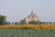 vue lointaine du mont