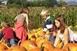 Cute kids looking for just the right pumpkin