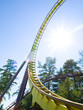 Roller Coaster