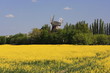 Photo: Landschaft Landschaft