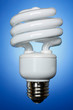 straightforward cfl, against soft blue gradient ground