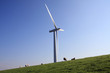windmill and sheep on a dike
