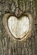 Photo: Herz; Holz; Baum; Herz; Holz; Baum;