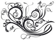 Ornate Scroll