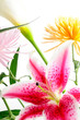 spring floral arrangement with assorted flowers isolated