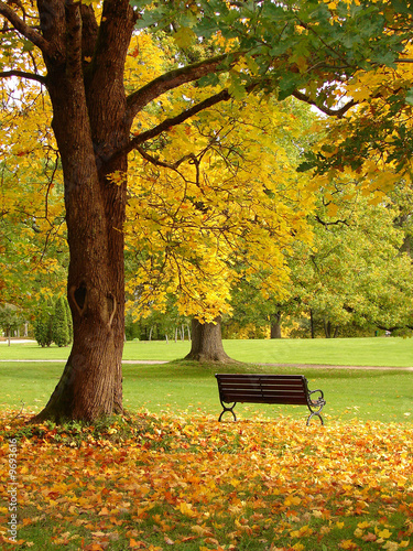 Photo: City park in autumn City park in autumn