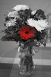 Vase with Flowers