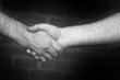 Two business men shaking hand in black and white
