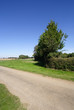 Chemin de campagne