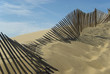 Dune du Pyla 08