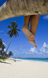 Tanned legs on the palm on the beach with white sand