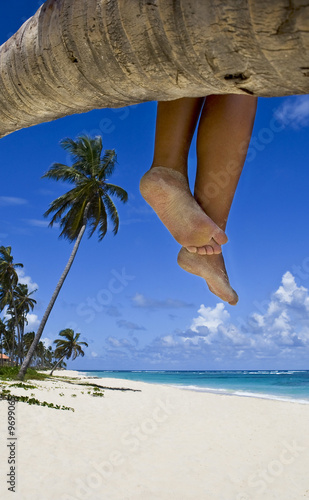 Photo: Tanned legs on the palm on the beach with white sand Tanned legs on the palm on the beach with white sand