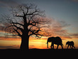 Group of elephant in africa