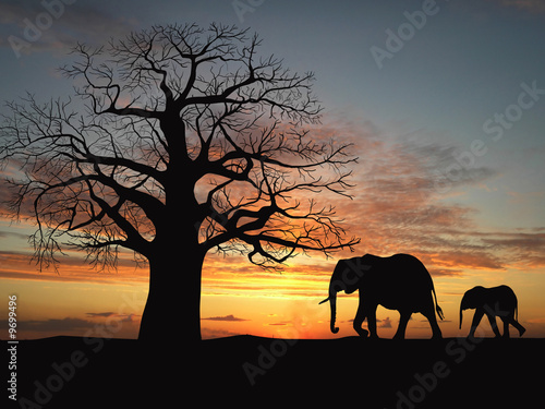 Illustration: Group of elephant in africa Group of elephant in africa